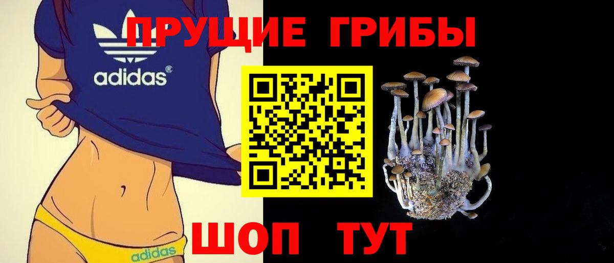 Добрянка  Псилоцибиновые грибы прущие грибы  Галлюциногенные грибы мухоморы  Вход с VPN 
